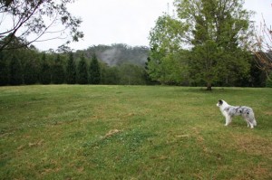 img_374111 img_374111
